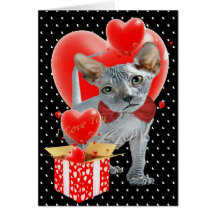 Sphynx  Box of Hearts Valentine Cards
