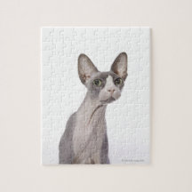 Sphynx Cat with surprised expression Puzzles