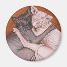 Sphynx Sphinx Cat Cats Nap Time Magnet
