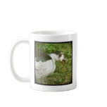 Spice Eats an Acorn Mug