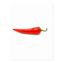 spice hot chilli T-shirt Post Card