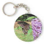 Spicebush butterfly ~ keychain