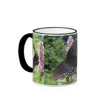 Spicebush Swallowtail 3 on 1 ~ mug