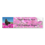 Spicebush Swallowtail Butterfly bumper stickers