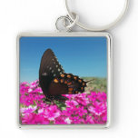 Spicebush Swallowtail Butterfly keychains