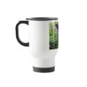 Spicebush Swallowtail mugs