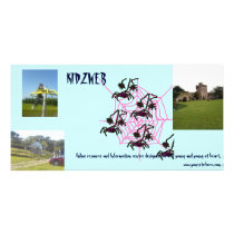 Spideeze Picture Card
