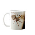 Spider 01 mugs