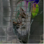 Spider #2 photo sculptures