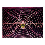 SPIDER AND WEB  Grey Agate Black Postcards