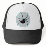 Spider and Web Hat