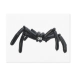 spider balloon postcard
