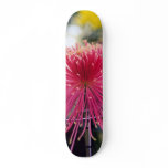 Spider Chrysanthemum skateboard