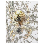 Spider Closeup Mystic Web Personalized Flyer