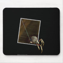 Spider Escape