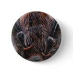 spider hair buttons