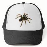 Spider Trucker Hat
