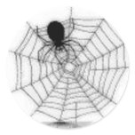 Spider in Her Web - Halloween Sticker