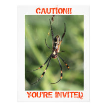 Spider invitation