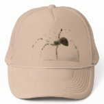 Spider Macro Cap hats