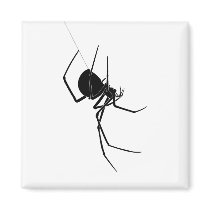 Spider Magnet