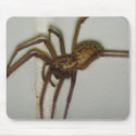 Spider mat mousepads