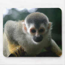 Spider Monkey Mouse Pad