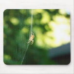 Spider Mouse Pad