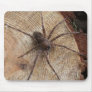 Spider On a Log Mouse Mats