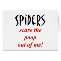 Spider Phobia