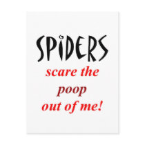 Spider Phobia