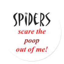 Spider Phobia