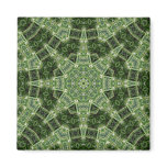 Spider Plant Kaleidoscope Art 3 magnets