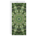 Spider Plant Kaleidoscope Art 4 rack cards