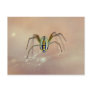 Spider Post Card
