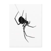 Spider Postcard