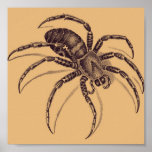 Spider Posters