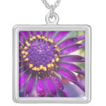 Spider Purple Necklace