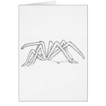 spider side view card