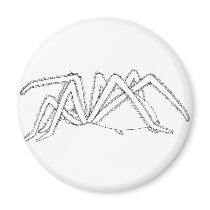 spider side view refrigerator magnets