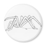spider side view magnets