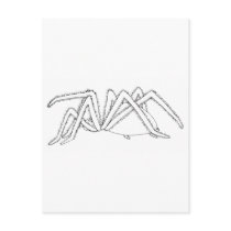 spider side view postcard