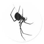 Spider Sticker