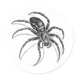 Spider Sticker