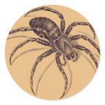 Spider Round Stickers