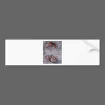 Spider & Wasp bumper stickers