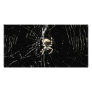 Spider Web at Midnight Picture Card
