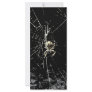 Spider Web at Midnight Custom Rack Cards