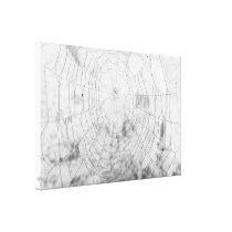 Spider web canvas print