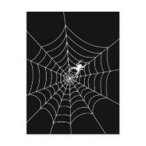 Spider Web